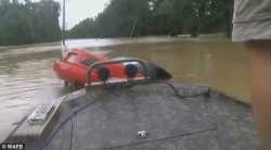 Man rescues woman and dog from sinking car in Louisiana flood